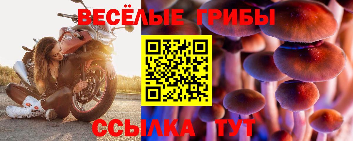 Урюпинск  Псилоцибиновые грибы ЛСД  Вход с VPN 
